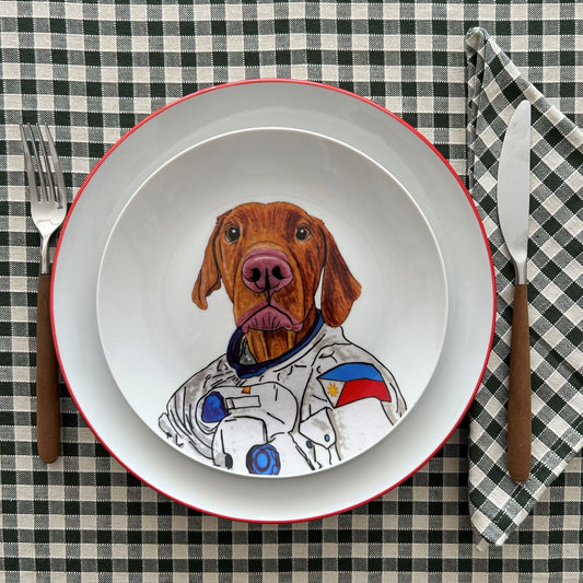 Perro Astronauta