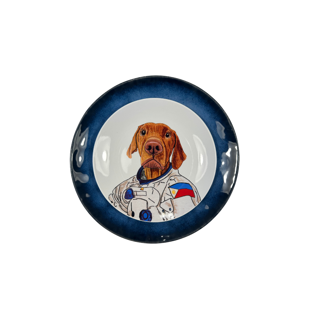Plato porcelana perro sobre plato azul oceano ceramica