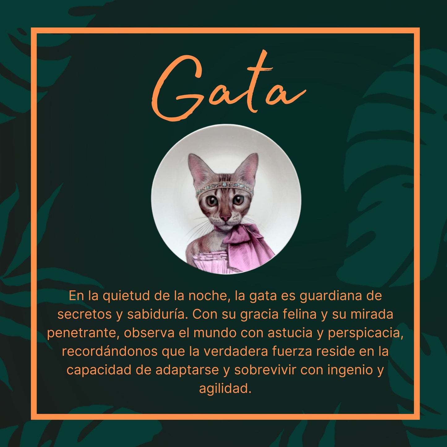 Princesa Gata