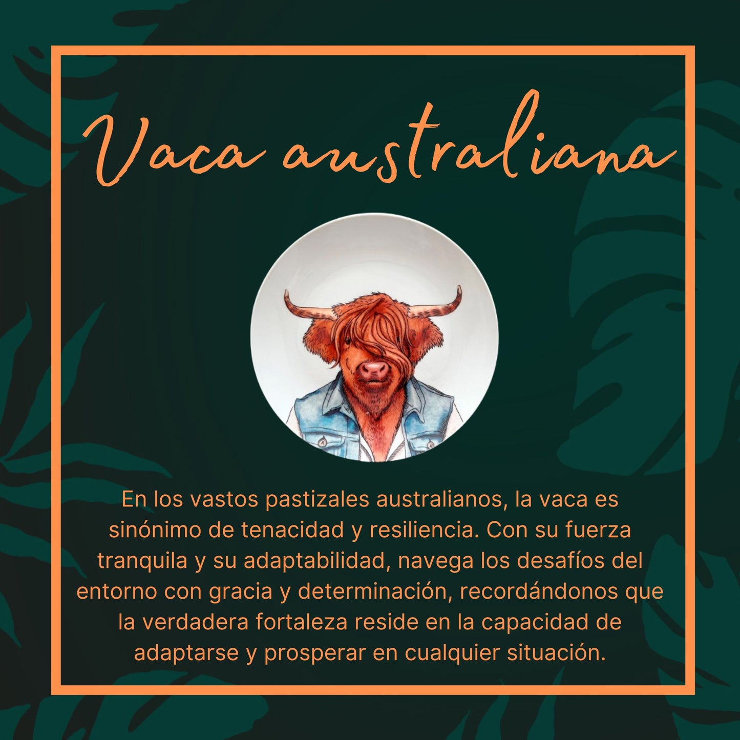 Vaca Australiana