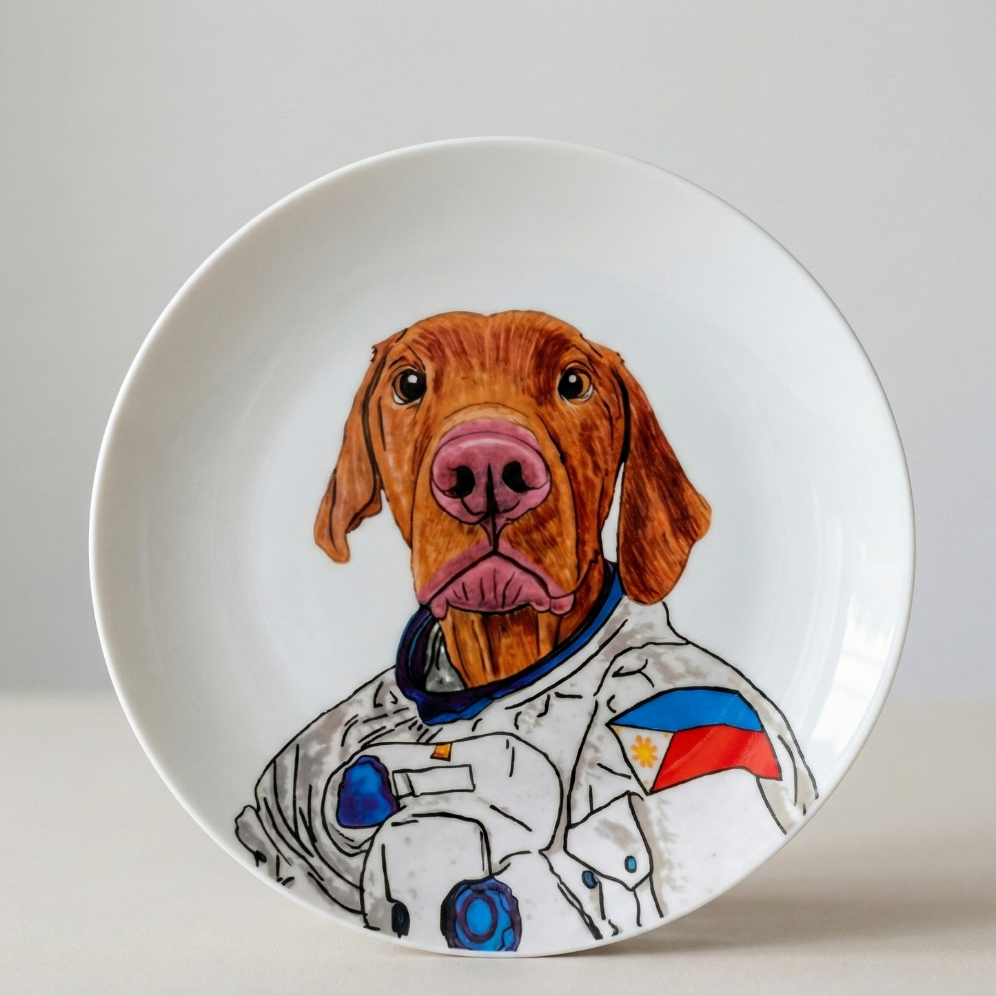 Perro Astronauta