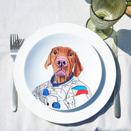 Perro Astronauta
